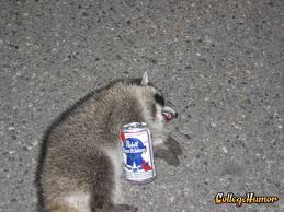 Drunk Raccoon 2