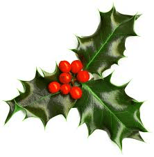 holly