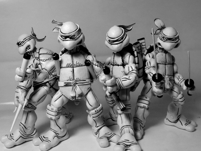 Black and White Turtles