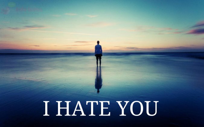 I hate YOu.jpg